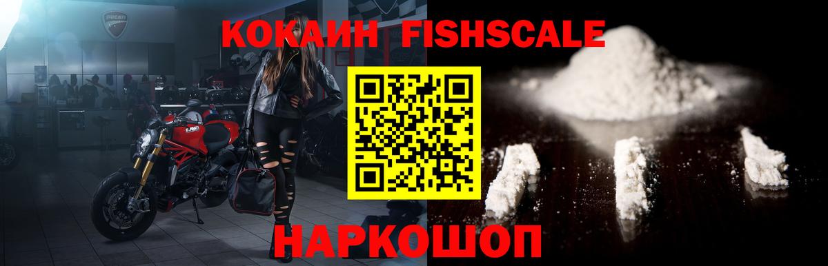 где купить наркоту  COCAIN  Каменск-Шахтинский  Вход с VPN  Cocaine Fish Scale 
