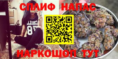 мяу мяу мука Бузулук
