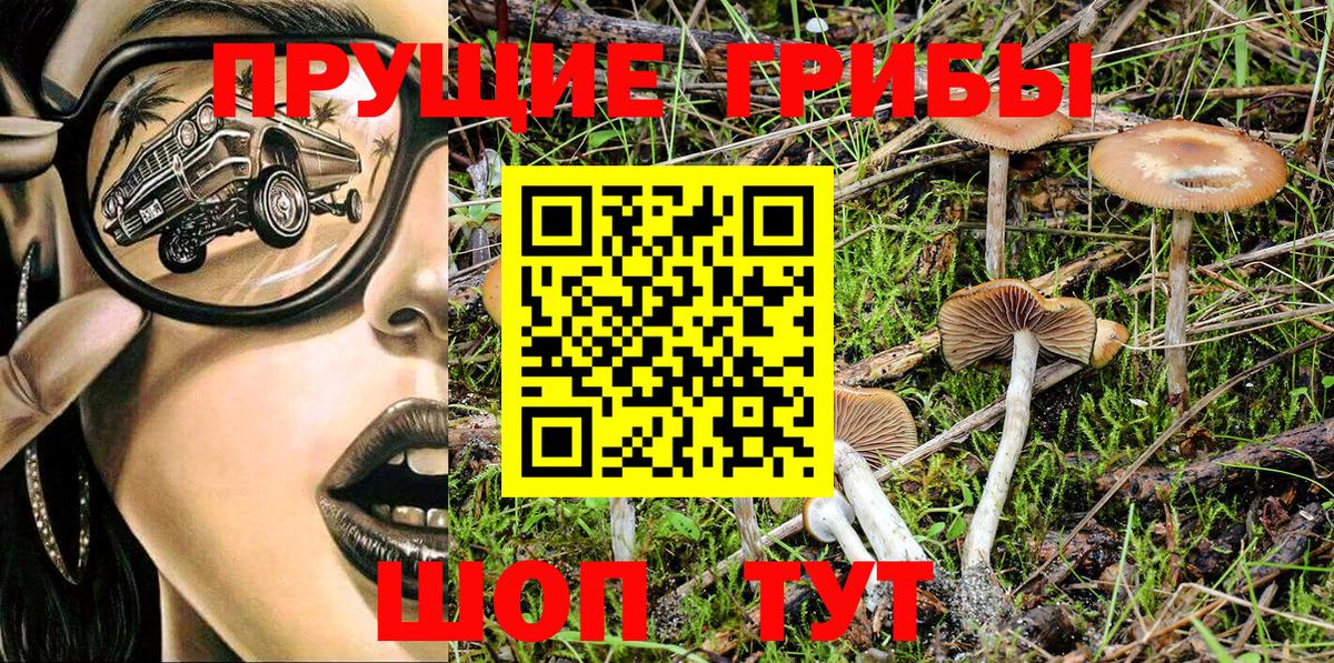 Псилоцибиновые грибы Psilocybe  Вход с VPN  Каменск-Шахтинский  Псилоцибиновые грибы Psilocybine cubensis 