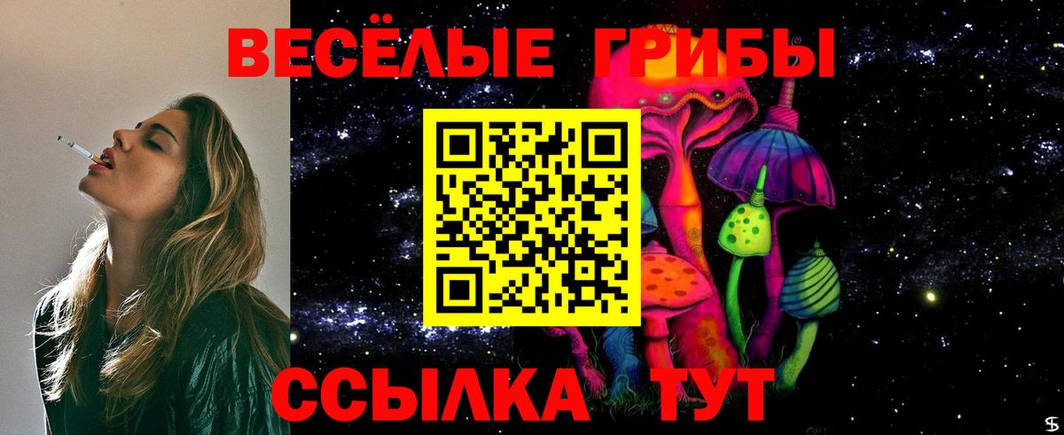 Галлюциногенные грибы мицелий Каменск-Шахтинский